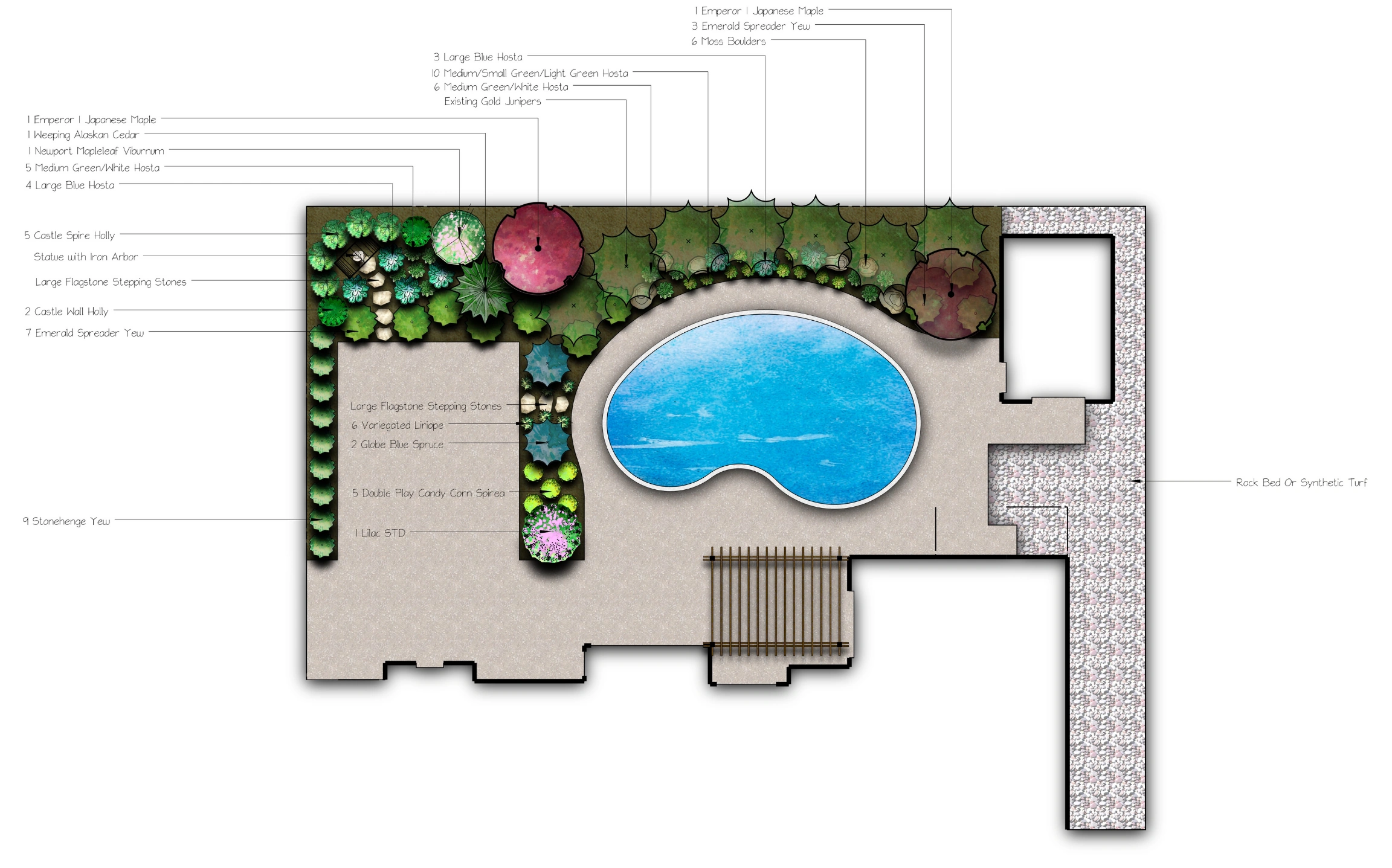 A colour planting plan around a kidney-shaped pool: hollies, hydrangea and spruce called out along the fence, flagstone stepping stones to the terrace.